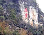 阳春天气预报10天